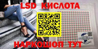 a pvp Камышлов