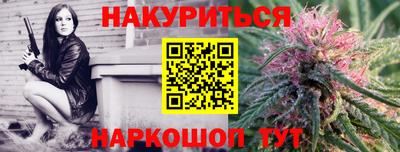 сатива Кандалакша