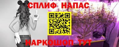 сатива Кандалакша