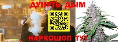 сатива Кандалакша