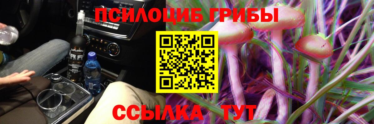 Галлюциногенные грибы Psilocybine cubensis Магадан